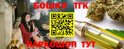прущие грибы Усть-Илимск