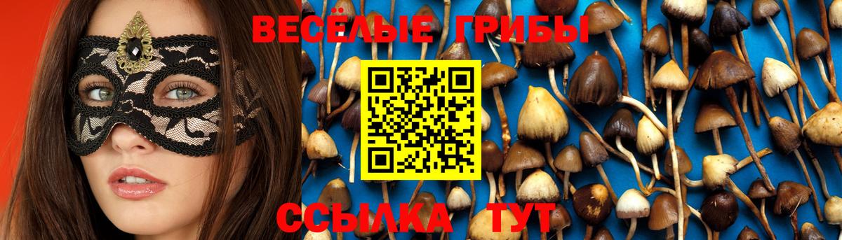 Красногорск  Псилоцибиновые грибы Psilocybine cubensis  Галлюциногенные грибы мицелий  Вход с VPN 